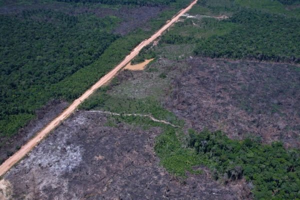 Alertas de desmatamento caem 35% na Amazônia e 6% no Cerrado