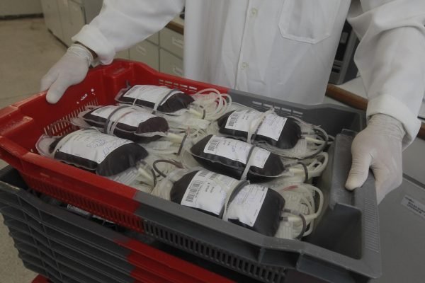 Bolsas-de-sangue-Raul-Golinelli-GOVBA.jpg