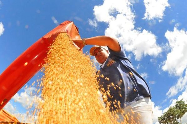 Brasil deve ter nova safra recorde de grãos em 2025/26, diz Conab