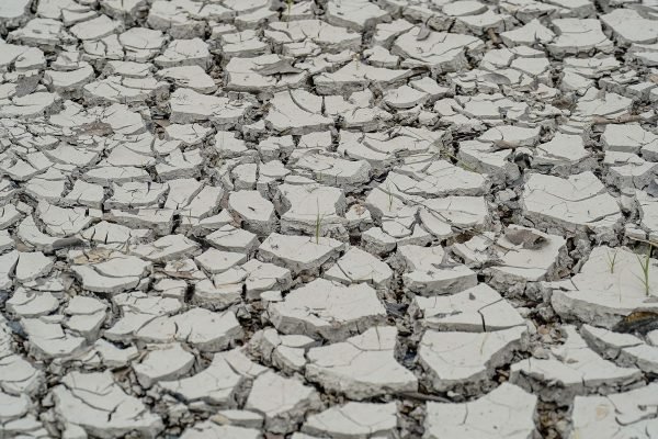 Estiagem: quinze cidades têm situação de emergência decretada