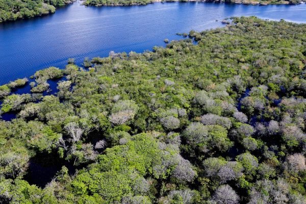 Governo lança edital para combate ao desmatamento na Amazônia