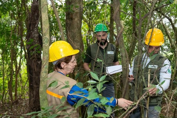 Itaipu triplica diversidade florestal nos arredores do reservatório