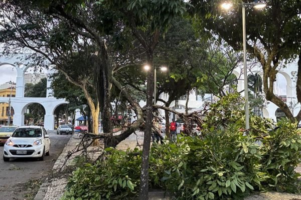 Meteorologistas dizem que não é possível associar ventanias ao El Niño