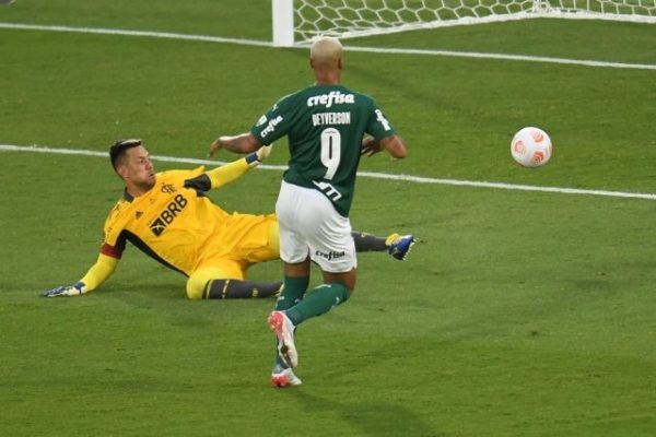Palmeiras-e1638054816416.jpeg