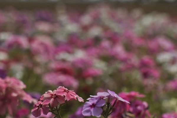 Primavera começa com chegada de frente fria, temporais e fortes ventos