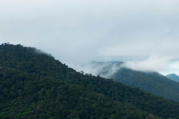 Serra-da-Jiboia-1-Foto-Dineia-Pires.jpg