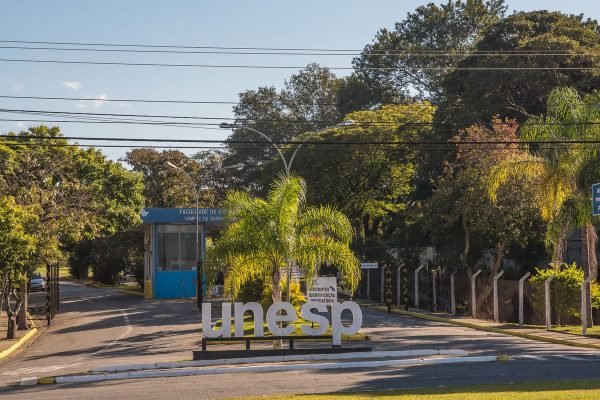 Unesp divulga lista de aprovados no vestibular 2026