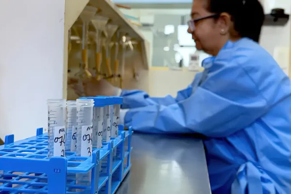 etapa_da_analise_parasitologica_realizada_no_laboratorio_de_malacologia_do_ioc_para_investigacao_da_infeccao_em_moluscos_-_foto_josue_damacena.webp