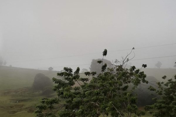 neblina-frio-elisio-medrado.jpeg