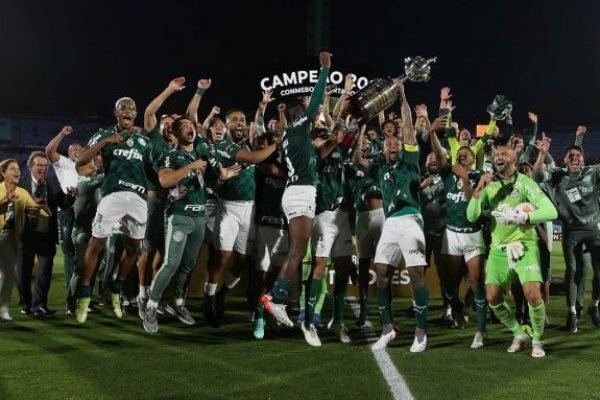 palmeiras-e1642699796646.jpg