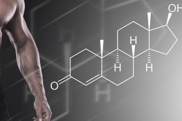 testosterona-1-e1634605161681.jpg